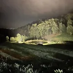 Naturalna Cisza